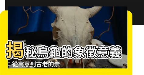 烏龜象徵意義 眼皮厚面相